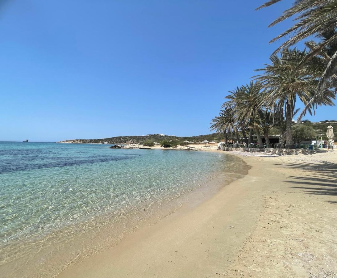 شقة Sunkiss Paros دريوس المظهر الخارجي الصورة